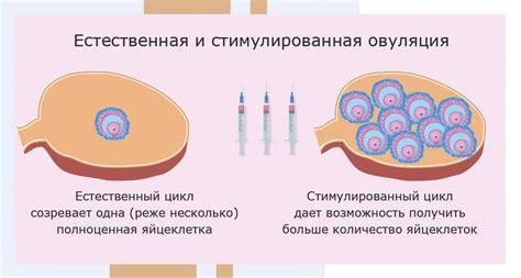 Польза натуральных методов для стимуляции овуляции