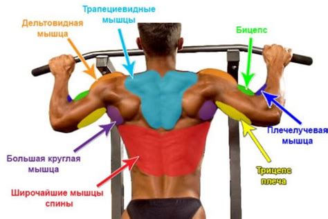Польза от правильного выполнения упражнения для спины