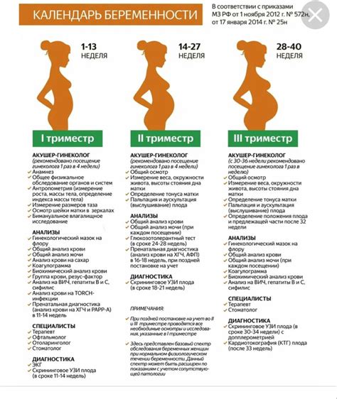 Польза прогестерона в первом триместре