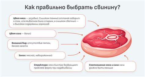 Польза свинины в рационе