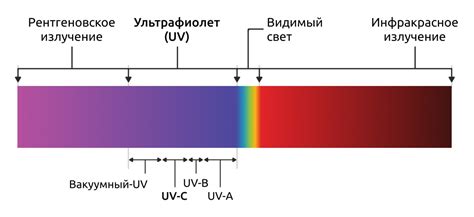 Польза солнца: ультрафиолетовые лучи как естественный убийца вредителей