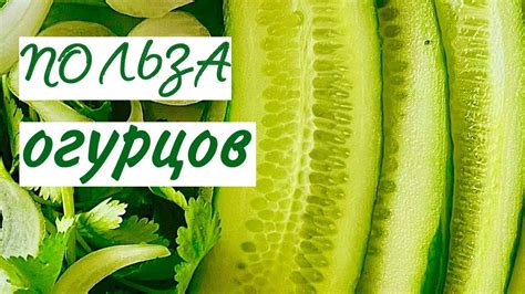 Польза соседства огурцов и базилика