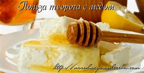 Польза сыра с медом для организма