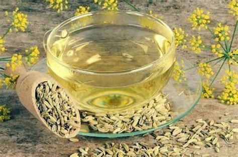 Польза укропной воды для кормящей мамы