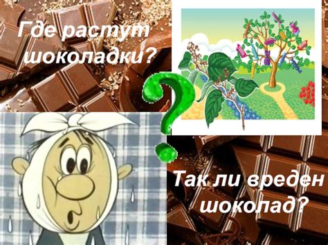 Польза употребления шоколадки
