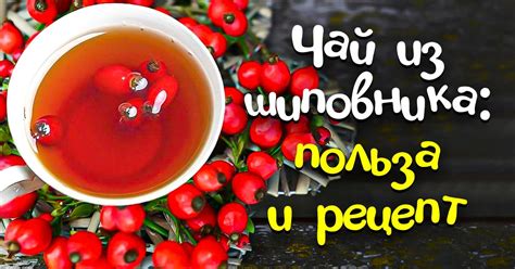 Польза чая перед едой