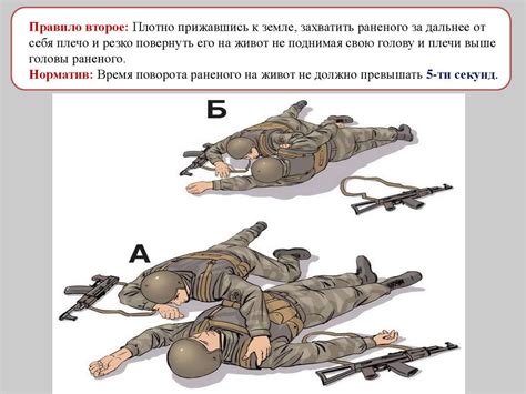 Помощь раненому соколу: как оказать помощь и спасение