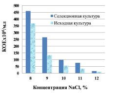 Понимание основных типов и характеристик спиртовых дрожжей