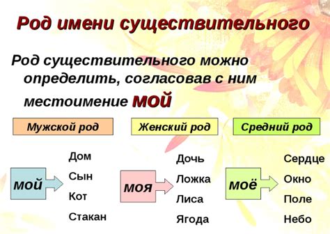 Понятие рода в русском языке