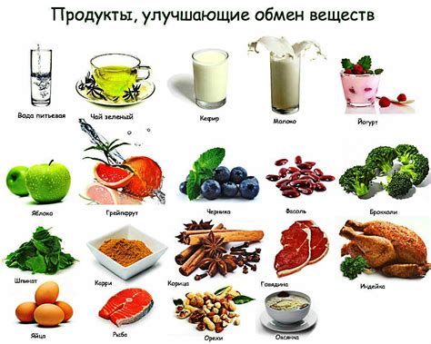 Популярные мифы о препаратах для обмена веществ