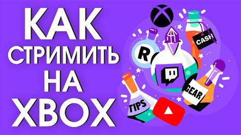 Популярные онлайн-игры и стриминг видео