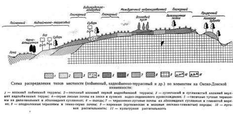 Последствия для географического распределения и инфраструктуры