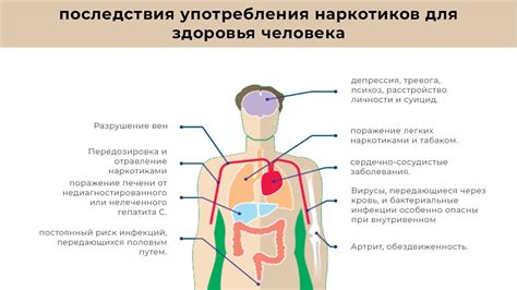 Последствия для здоровья собаки
