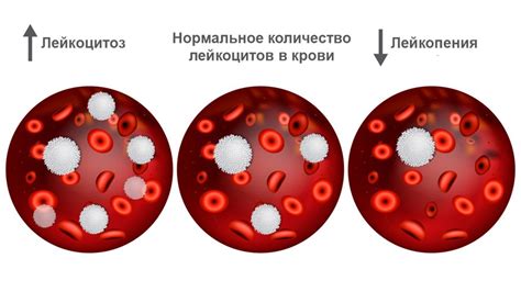 Последствия нарушения соотношения цитрат в крови