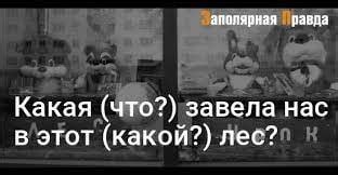 Последствия откровенности в повседневном общении