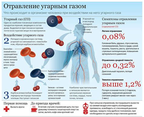 Последствия продолжительного воздействия газа на здоровье