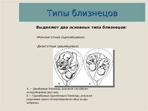 Последствия разделения близнецов на учебу