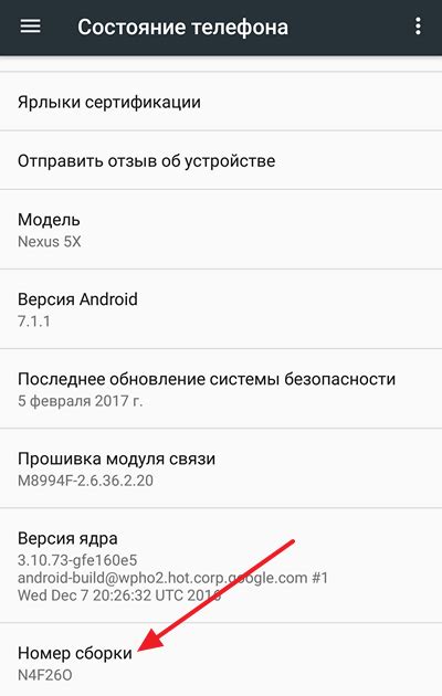 После успешного ввода вы увидите сообщение о том, что режим разработчика активирован