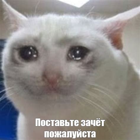 Поставьте передачу