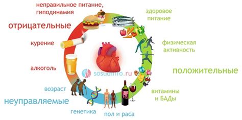 Потенциальные угрозы для жизни и здоровья