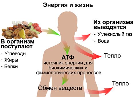 Почему важно заботиться о своем здоровье