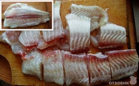 Почему многие считают, что морской язык без костей