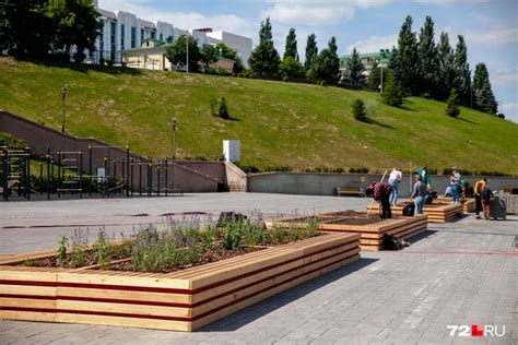 Почему нельзя ходить по газону на даче: