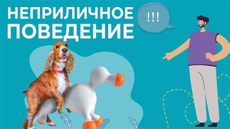 Пошаговая инструкция: что делать, если собака делает садку на ребенка