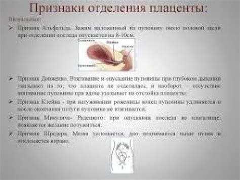Появление последа