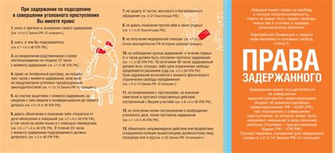 Права задержанного при обнаружении наркотиков