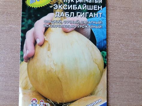 Правила посева и ухода