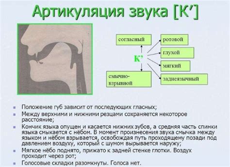Правила произношения звука "жы" для носителей других языков