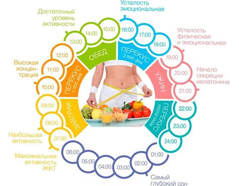 Правильная диета и питьевой режим: важные моменты для здоровой спины