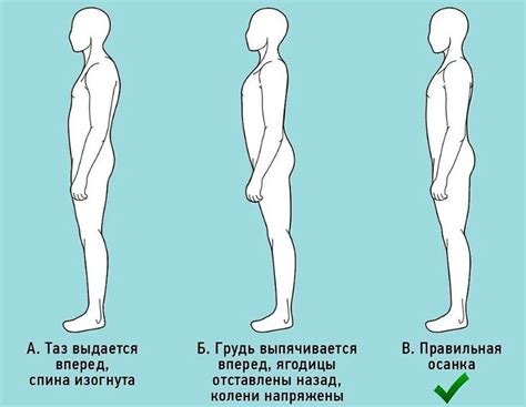 Правильная осанка и коррекция позы для повышения роста