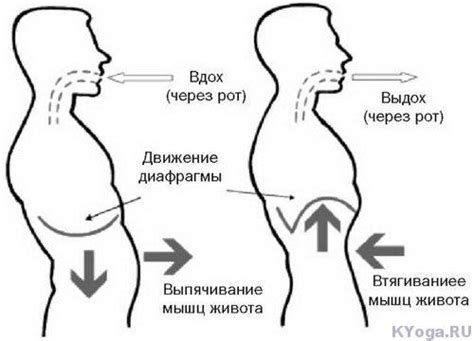 Правильное диафрагмальное дыхание