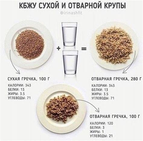 Правильное использование сухой гречки