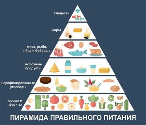 Правильное питание для активизации роста пресса