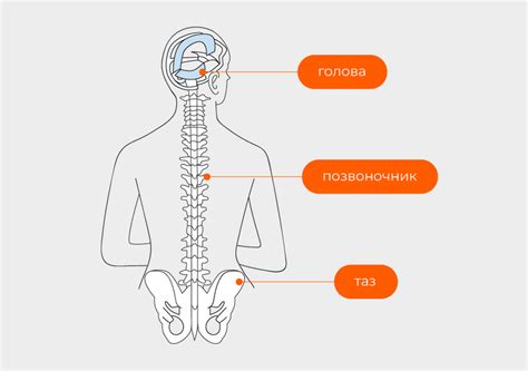 Правильное положение при сидении