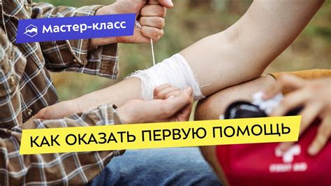 Правильно подать первую помощь птенцу до посещения специалиста