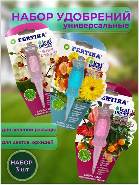 Правильный выбор удобрений для сохранения красоты цветов в следующем сезоне