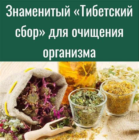 Правильный период для очищения