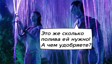 Правильный режим полива и влажность воздуха: секреты ухода за прекрасными растениями