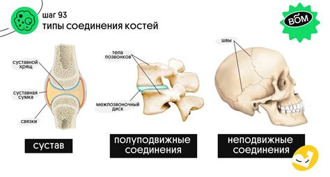 Правильный способ подачи костей -