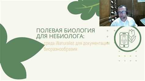 Практические примеры применения