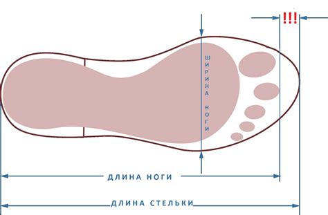 Практические рекомендации по выбору правильного размера обуви