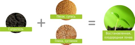 Практические советы по оптимальному использованию природного удобрения в выращивании овощей