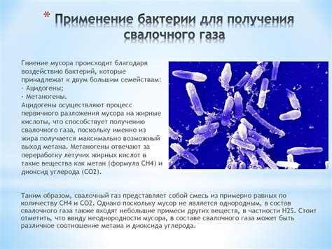 Практическое применение азотфиксирующих микроорганизмов в сельском хозяйстве и биотехнологии
