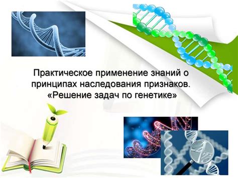 Практическое применение знаний о чешуе Петра