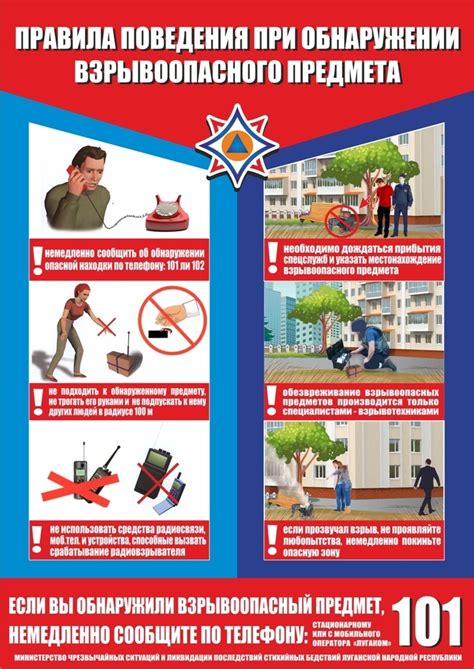 Предосторожности при обнаружении птицы на улице