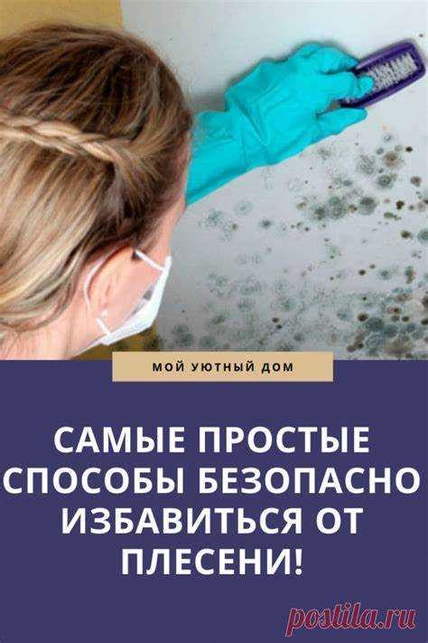 Предотвращение повторного появления плесени в доме